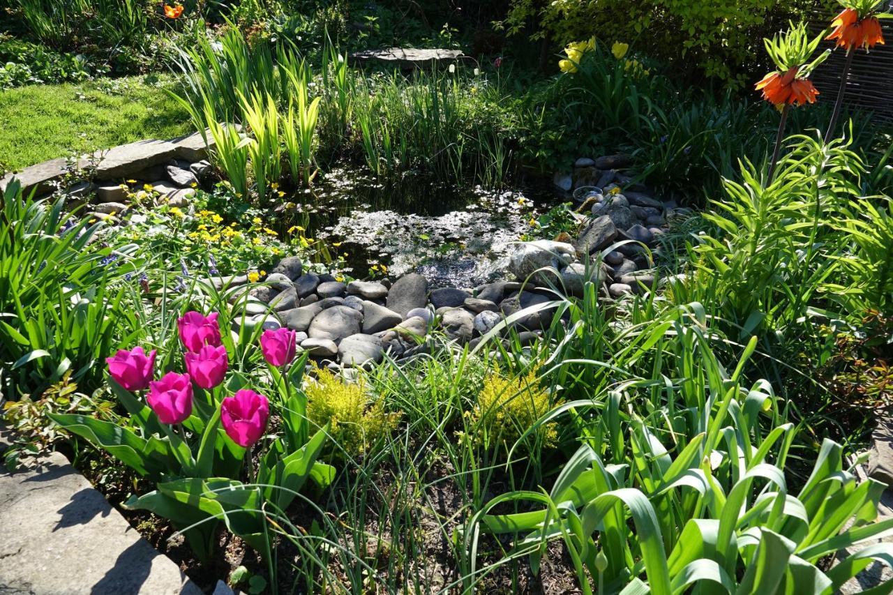 Esneux Le Jardin Des Miroirs Bed & Breakfast エクステリア 写真