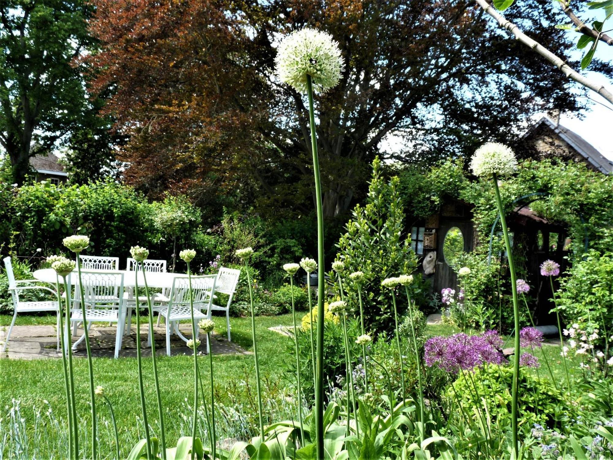 Esneux Le Jardin Des Miroirs Bed & Breakfast エクステリア 写真