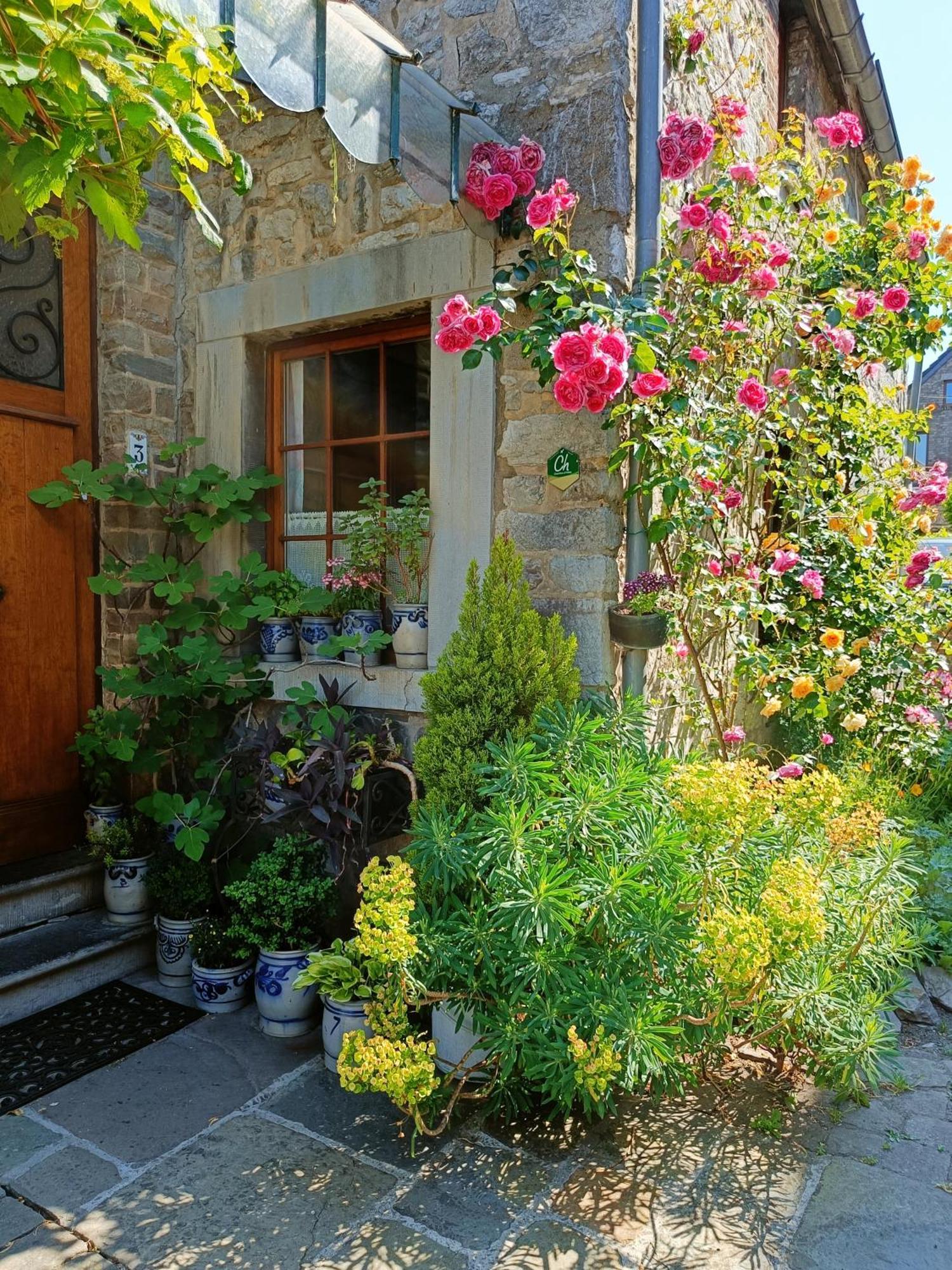 Esneux Le Jardin Des Miroirs Bed & Breakfast エクステリア 写真